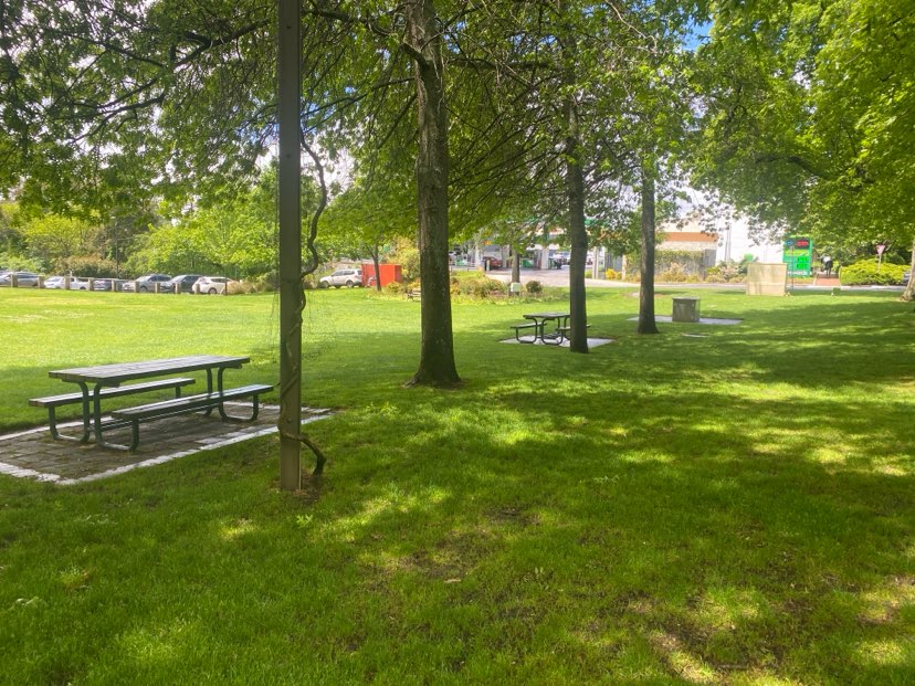 walking near me in Library Lawns in spring