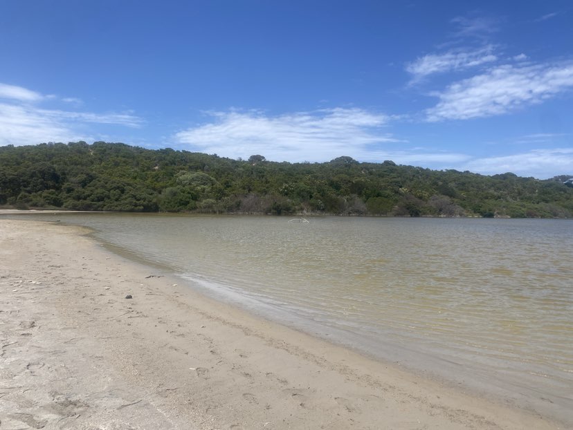 walking near me in Little Dip Conservation Park in summer