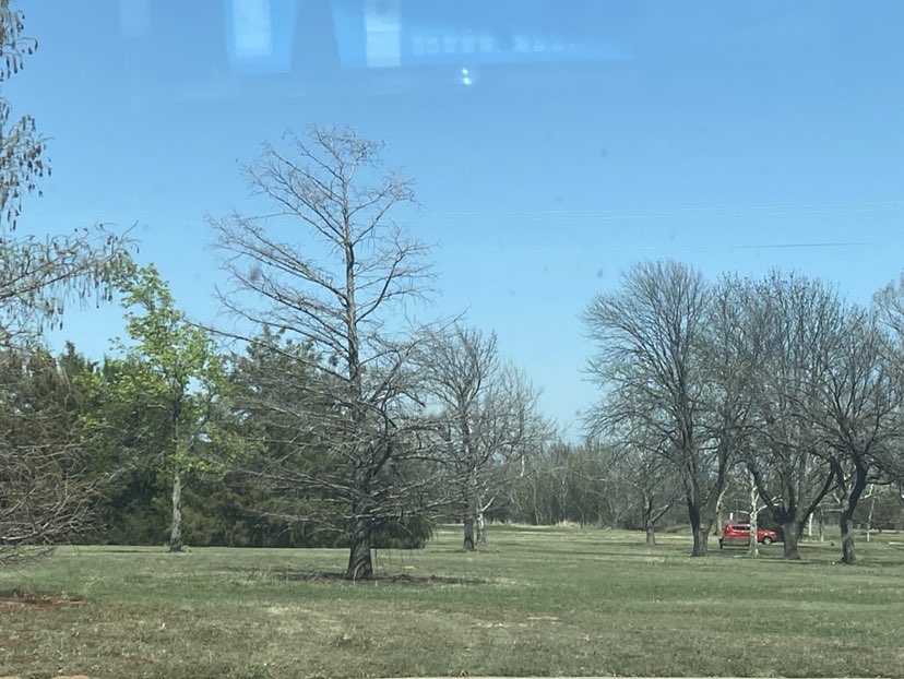 walking near me in Lake Wichita Park in spring