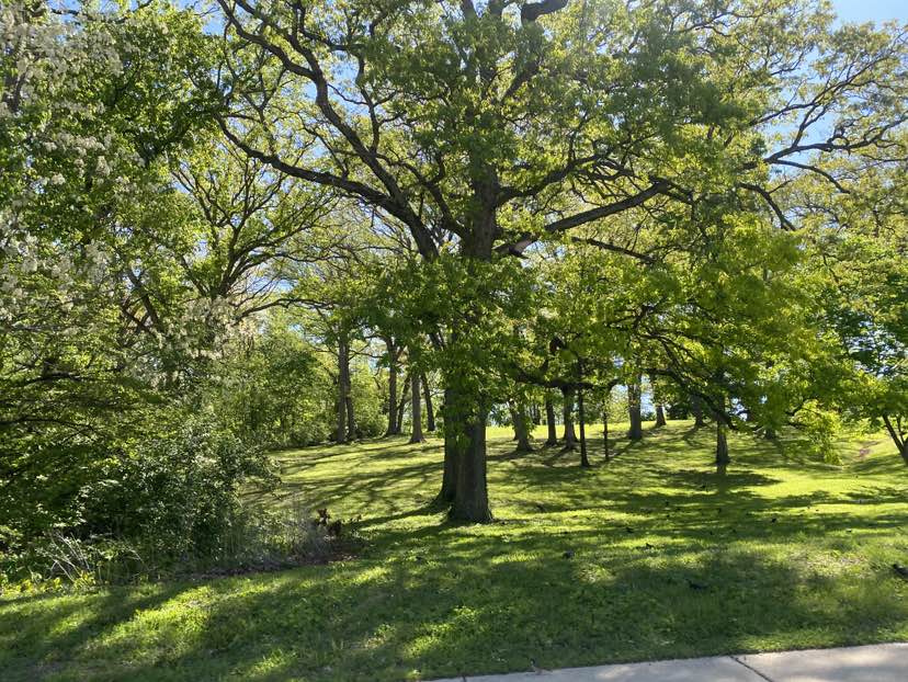 walking near me in Murdock Park in spring