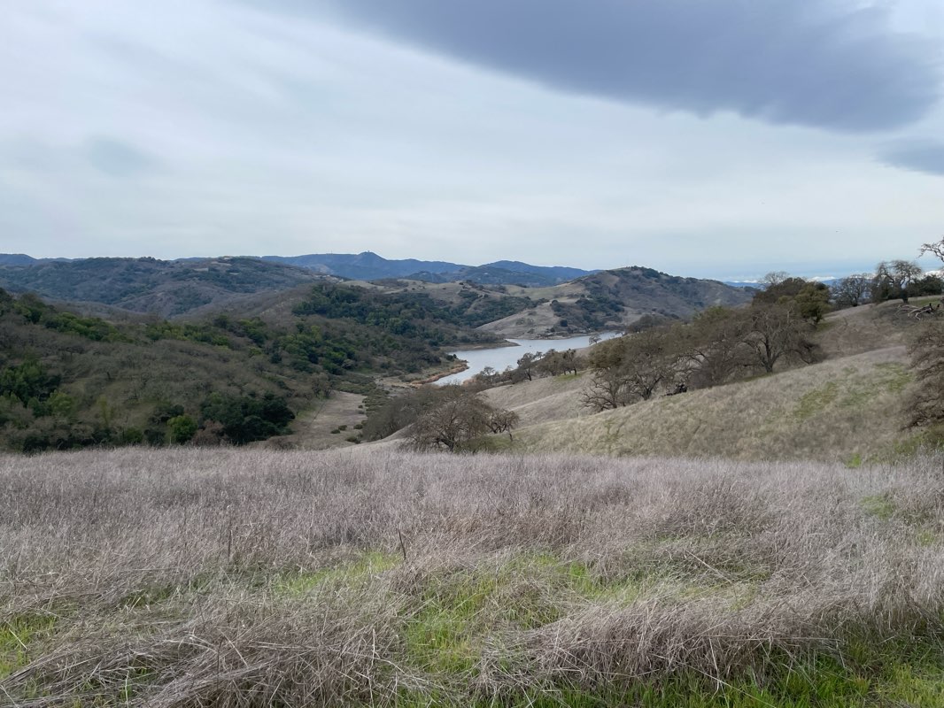 walking near me in Calero County Park in winter