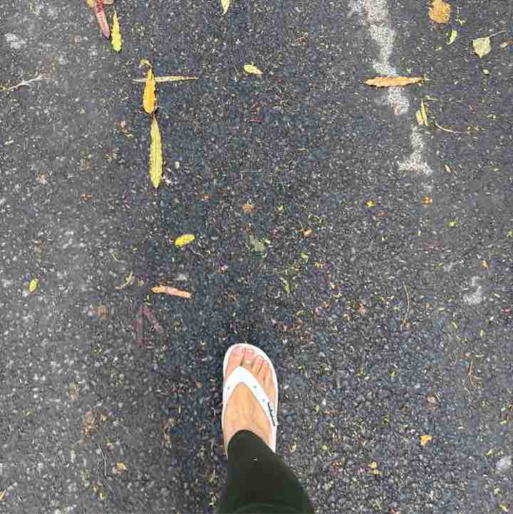 Anuaa9 post 2