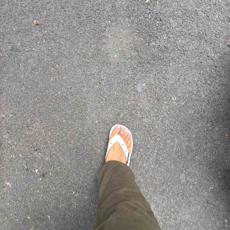 Anuaa9 post 3