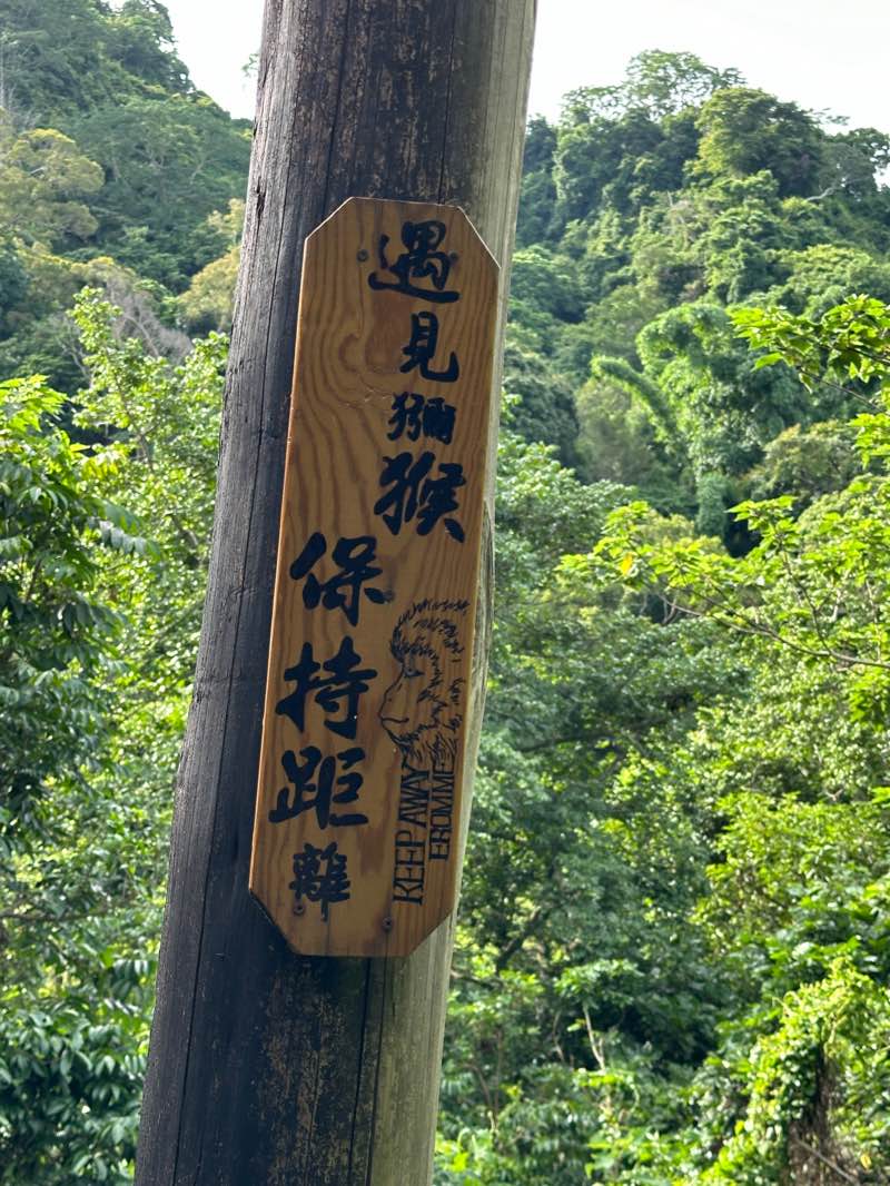 walking near me in 敦化公園 in winter