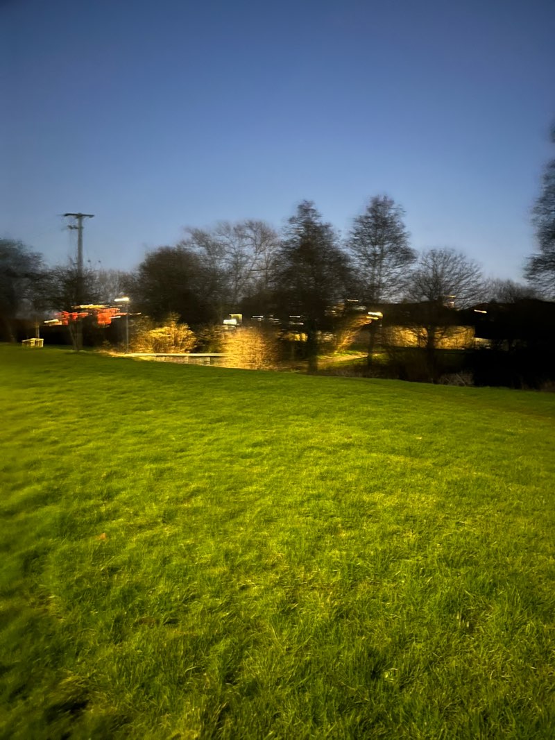 walking near me in Mill Pond in winter
