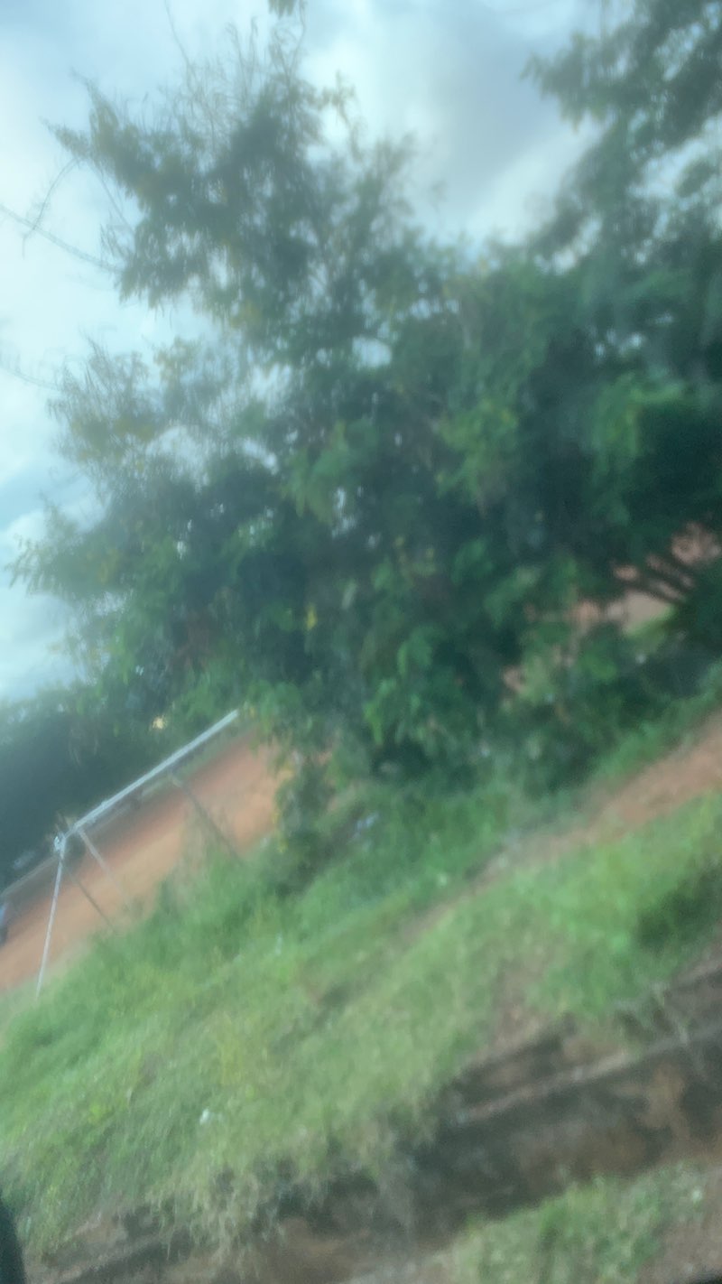 walking near me in Adenta Community Park in autumn