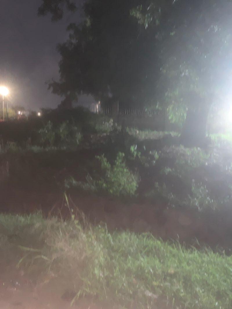 walking near me in Tema Childrens' Park in spring