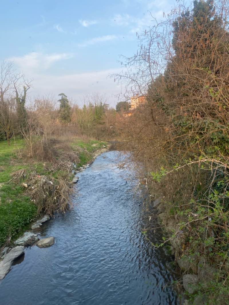walking near me in Parco di Via La Malfa in winter