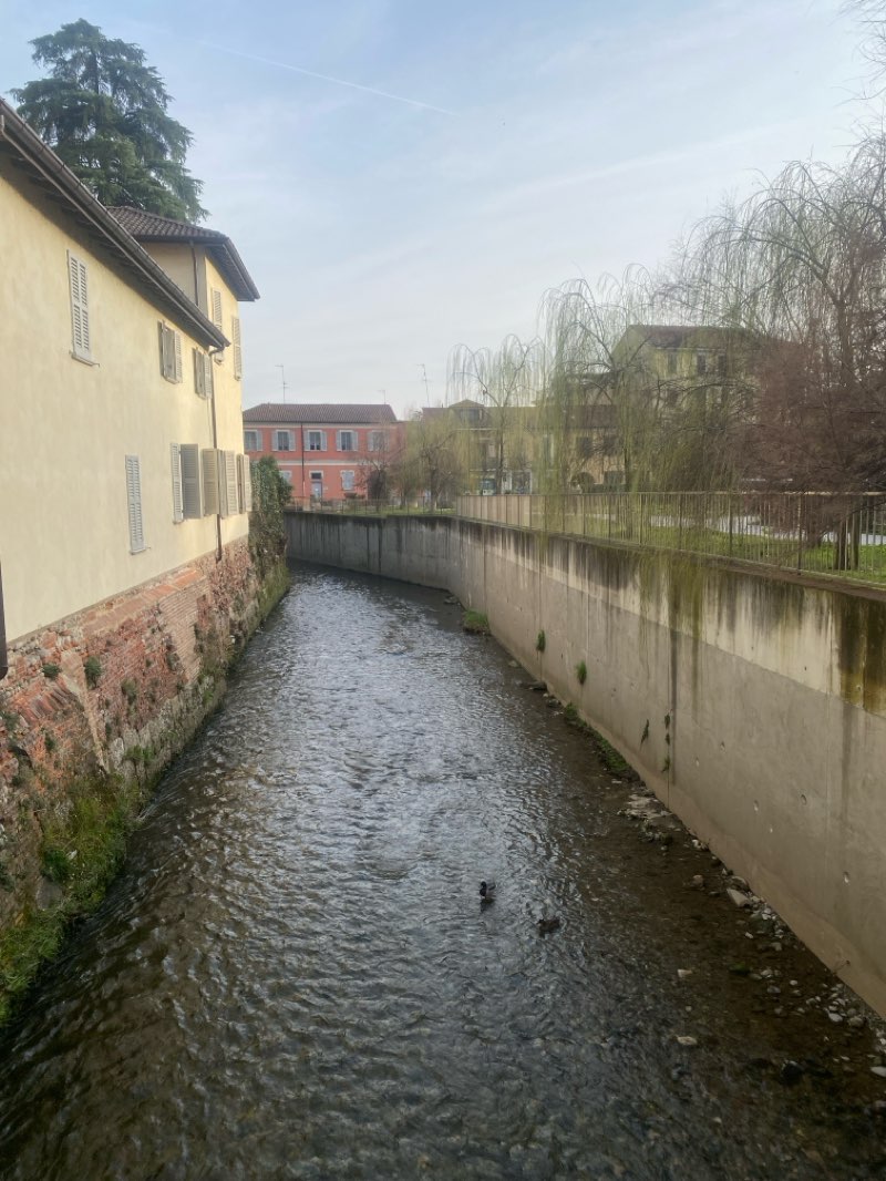 walking near me in Parco di Via Leopardi in winter