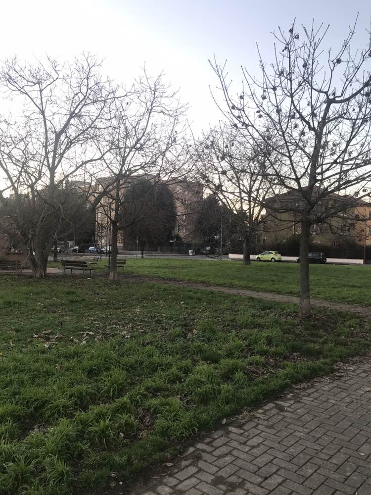 walking near me in Parco di Via Negrelli in winter