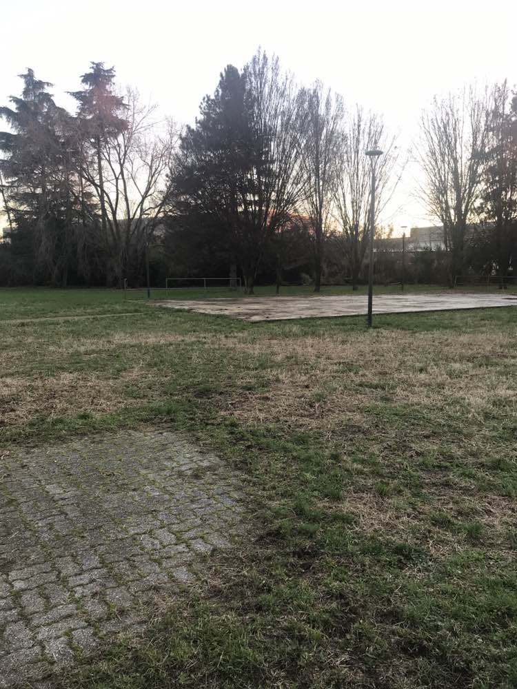 walking near me in Parco di Via della Quercia in winter