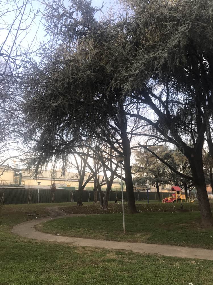 walking near me in Parco della Resistenza in winter