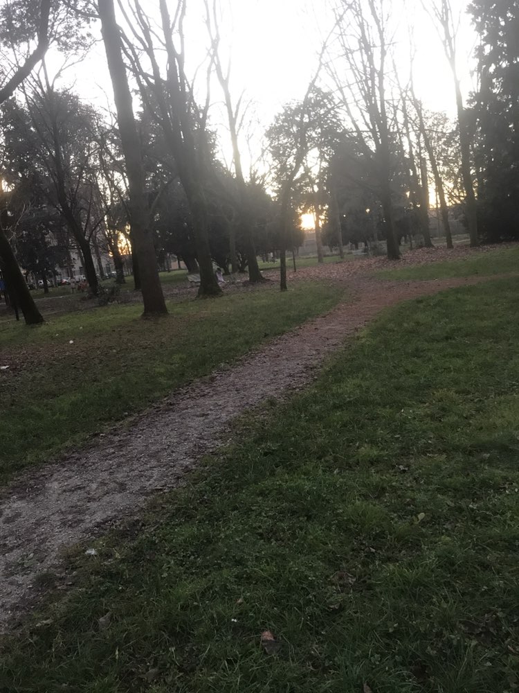 walking near me in Parco di Via Gadames in winter