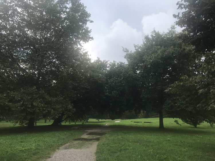 walking near me in Parco Chico Mendez in autumn