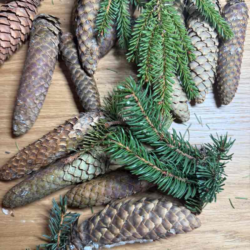 PacerЛейди_1986 post 3