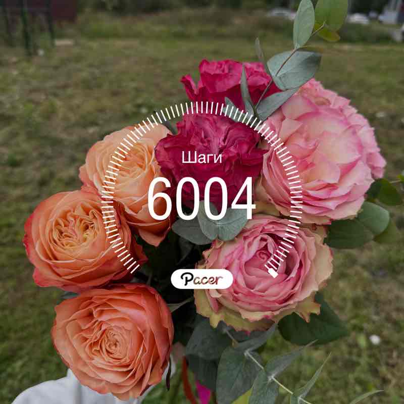 PacerЛейди_1986 post 1