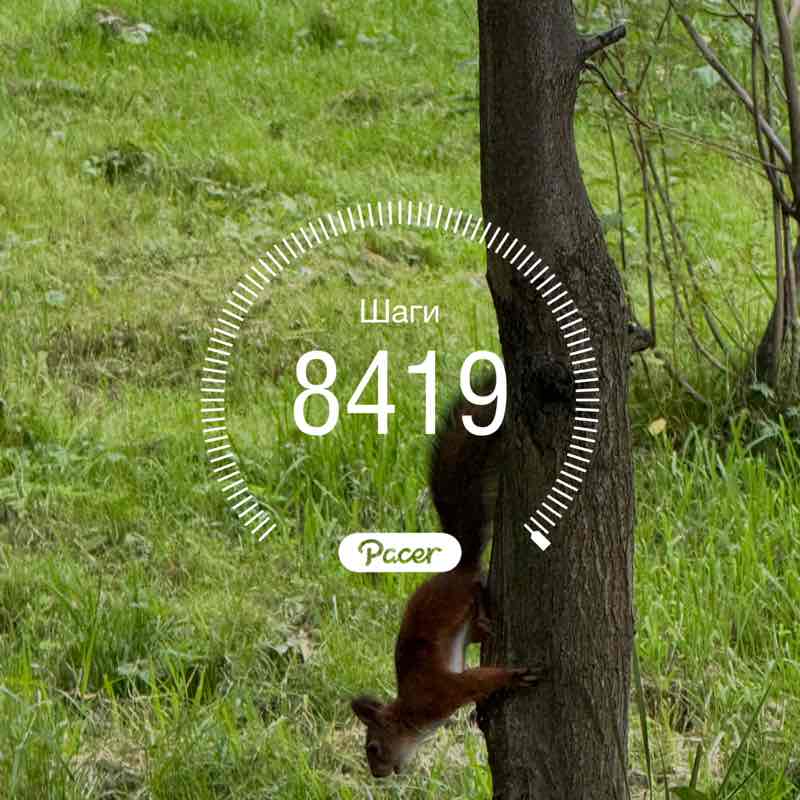 PacerЛейди_1986 post 1