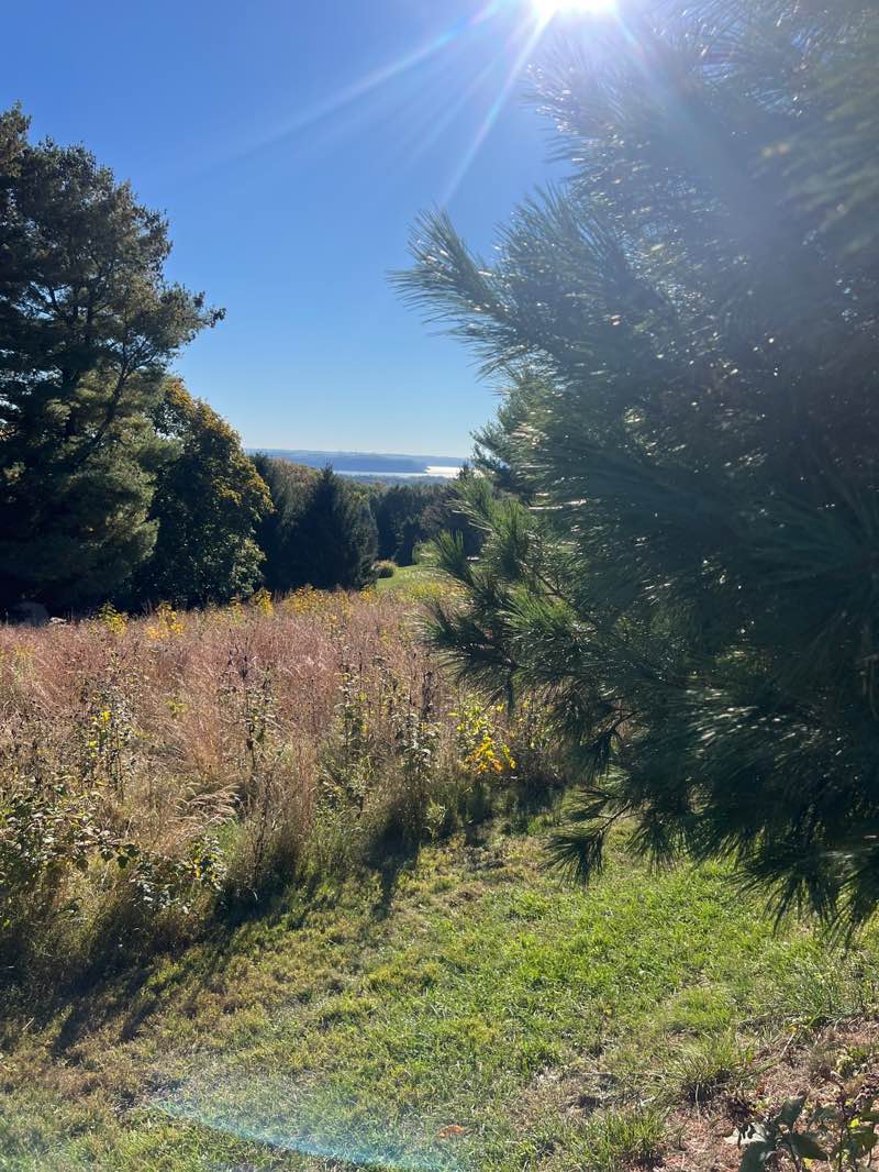 walking near me in Samuel S. Lewis State Park in autumn