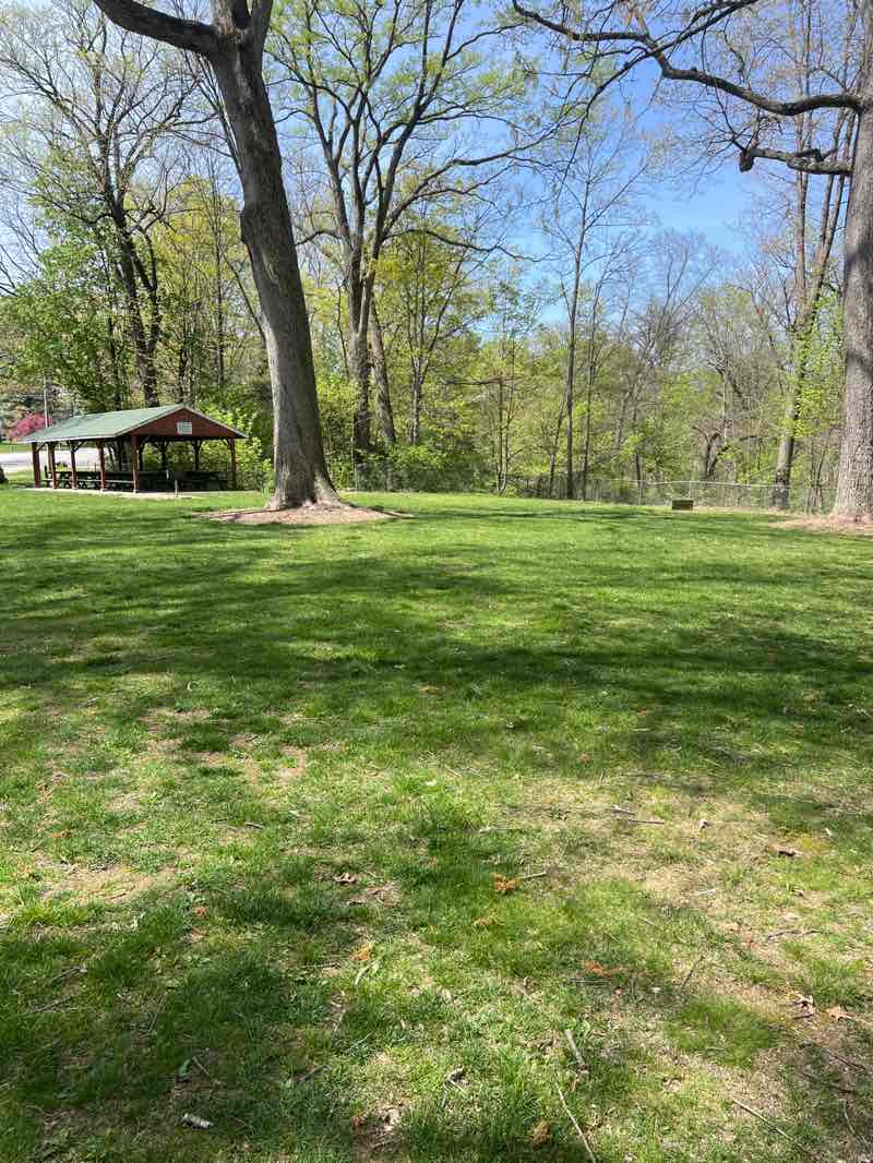 walking near me in Little Chiques Park in spring