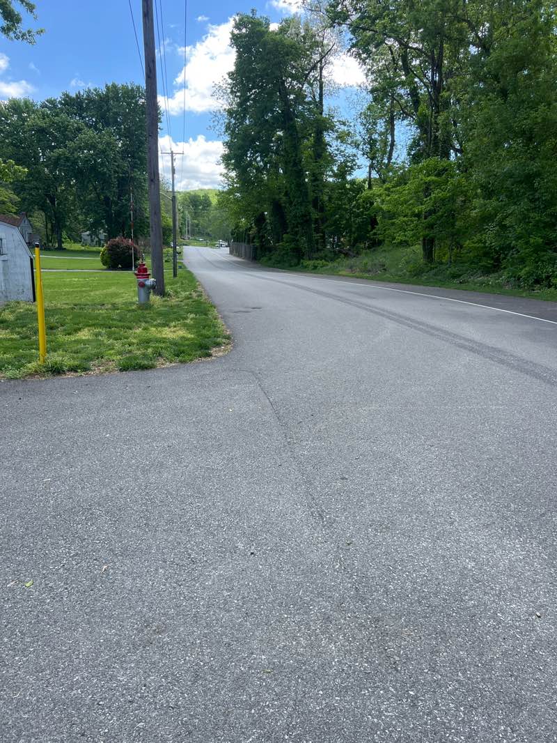 walking near me in Chickies Rock County Park Furnace Road Day-Use Area in spring