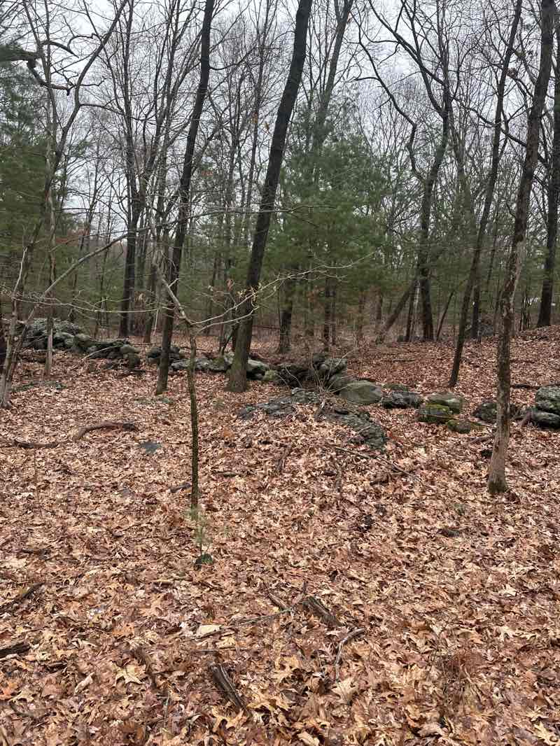 walking near me in Saw Mill Brook Conservation Area in spring