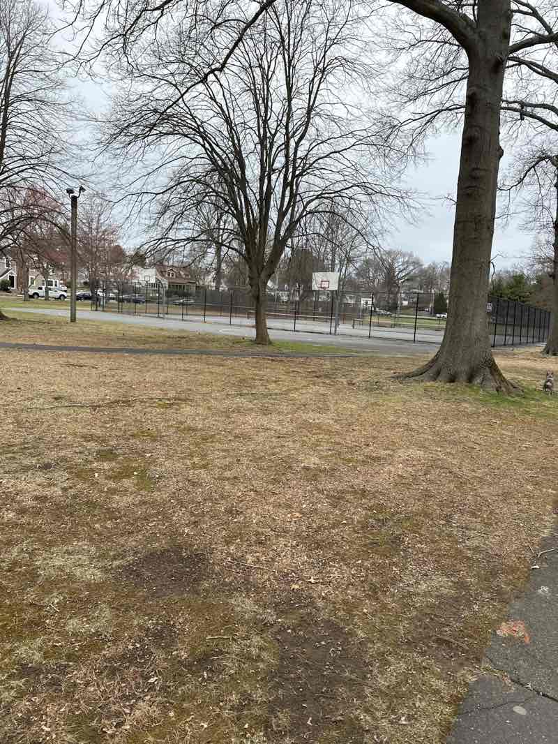 walking near me in Riverdale Park in spring