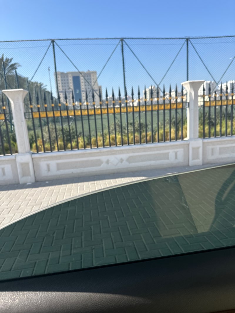 walking near me in Al Nasserya Park in winter
