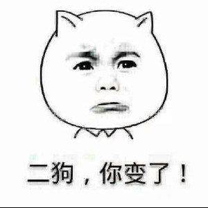 二狗是只猫 profile