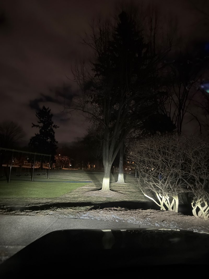 walking near me in Shafor Park in winter