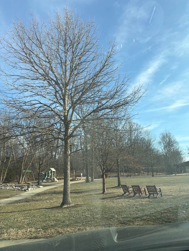 walking near me in Hills & Dales MetroPark in winter