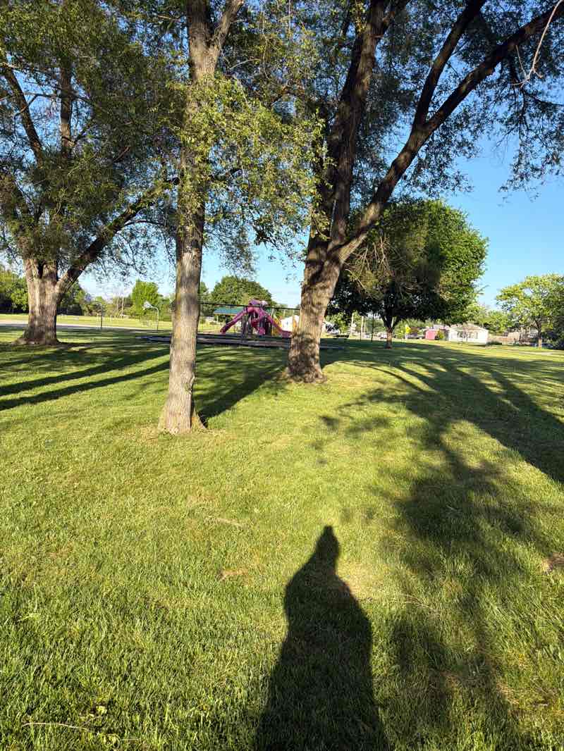 walking near me in Osborn Park in spring