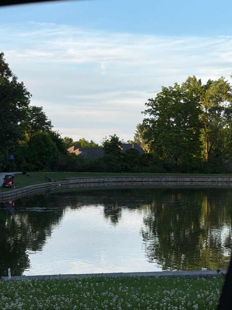 walking near me in Lincoln Park in summer