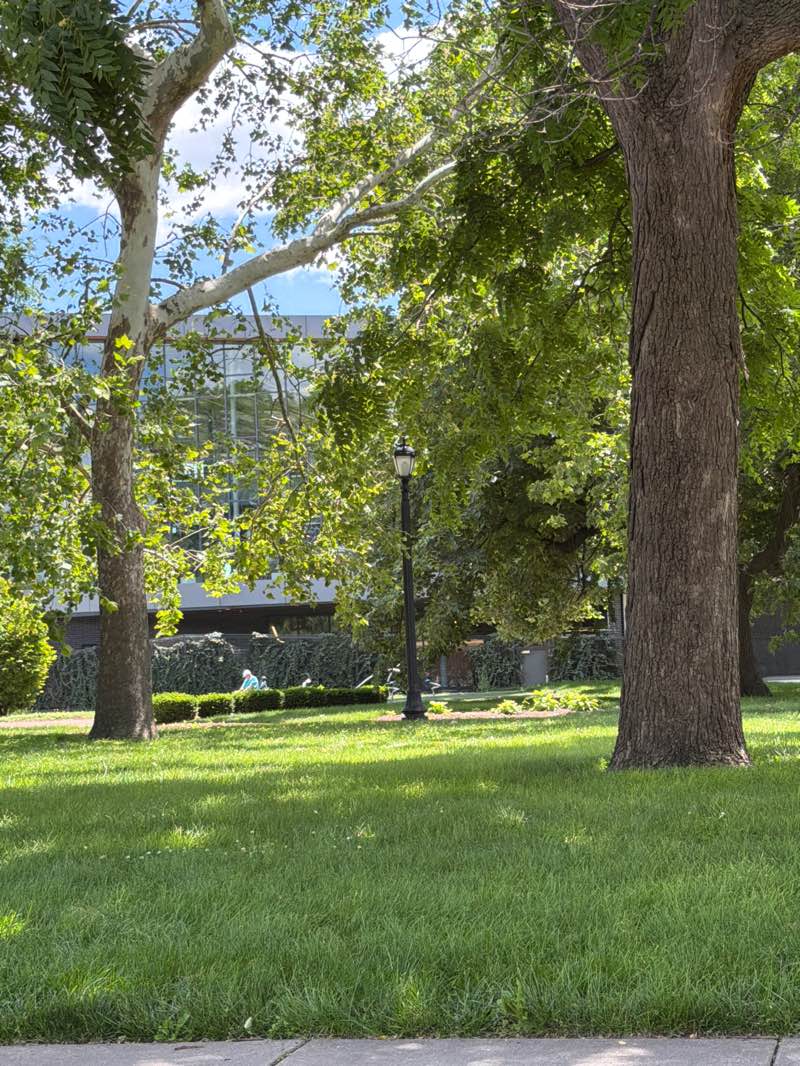 walking near me in Cooper Park in summer