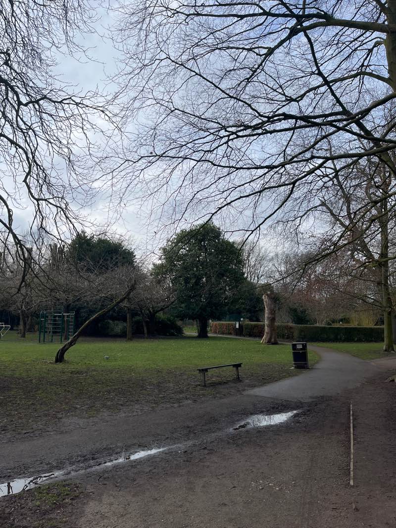 walking near me in Newton Park in spring