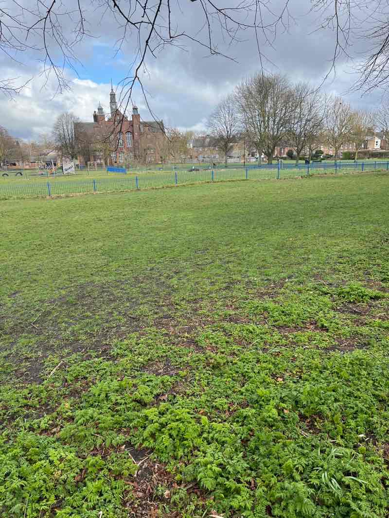 walking near me in Scarcroft Green in spring