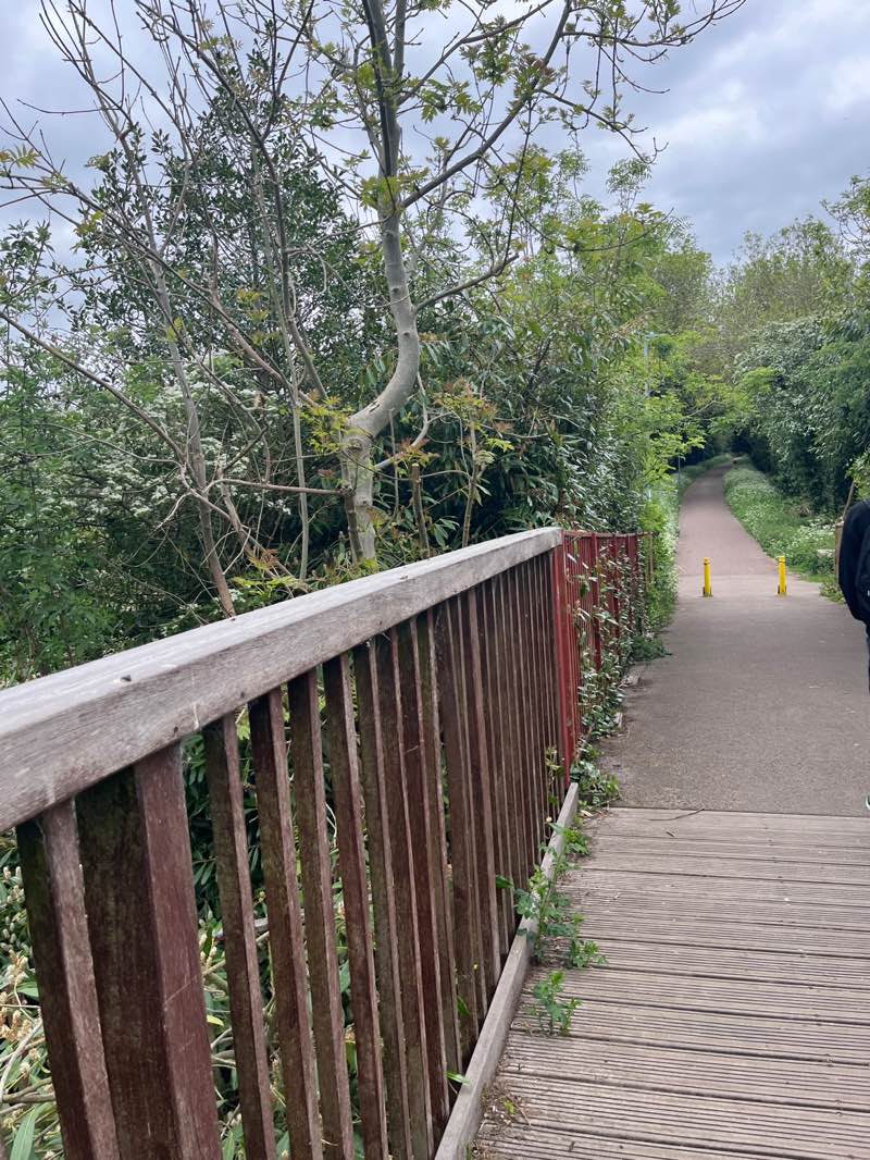 walking near me in Daneholme Park in spring