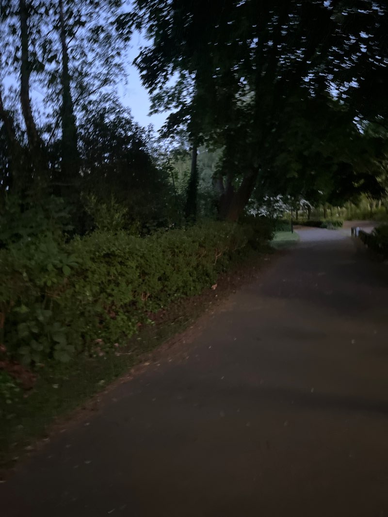 walking near me in Golden Hill Park in spring