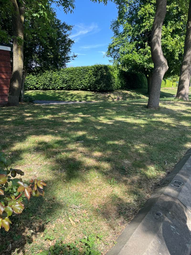 walking near me in Victoria Park in spring