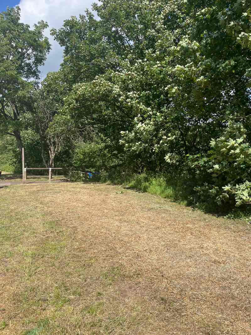 walking near me in Lumb Brook Millennium Green in spring