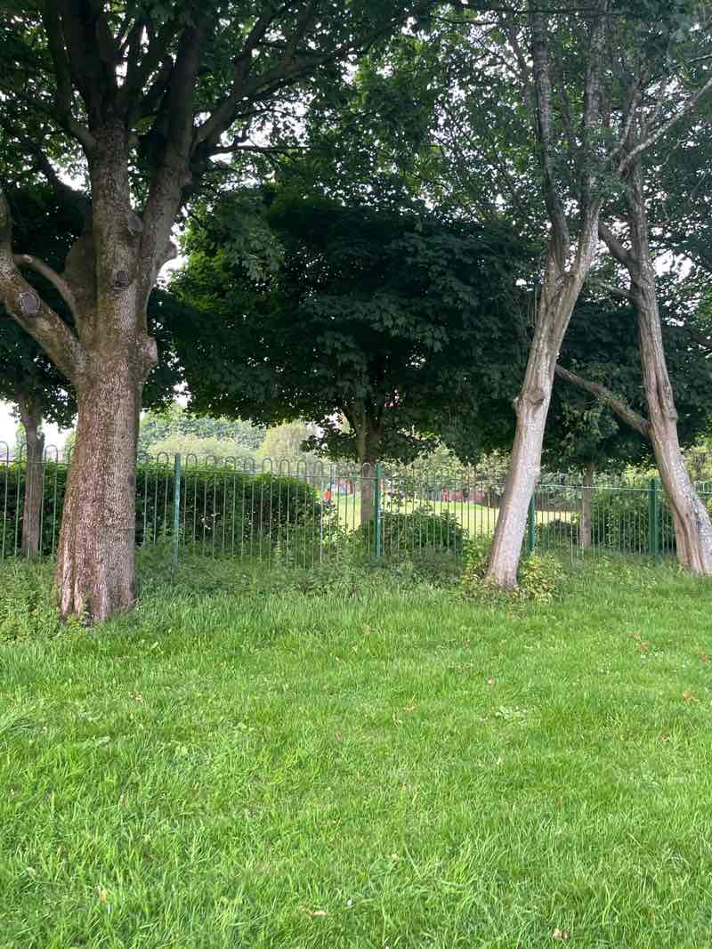 walking near me in Berrisfield Park in summer