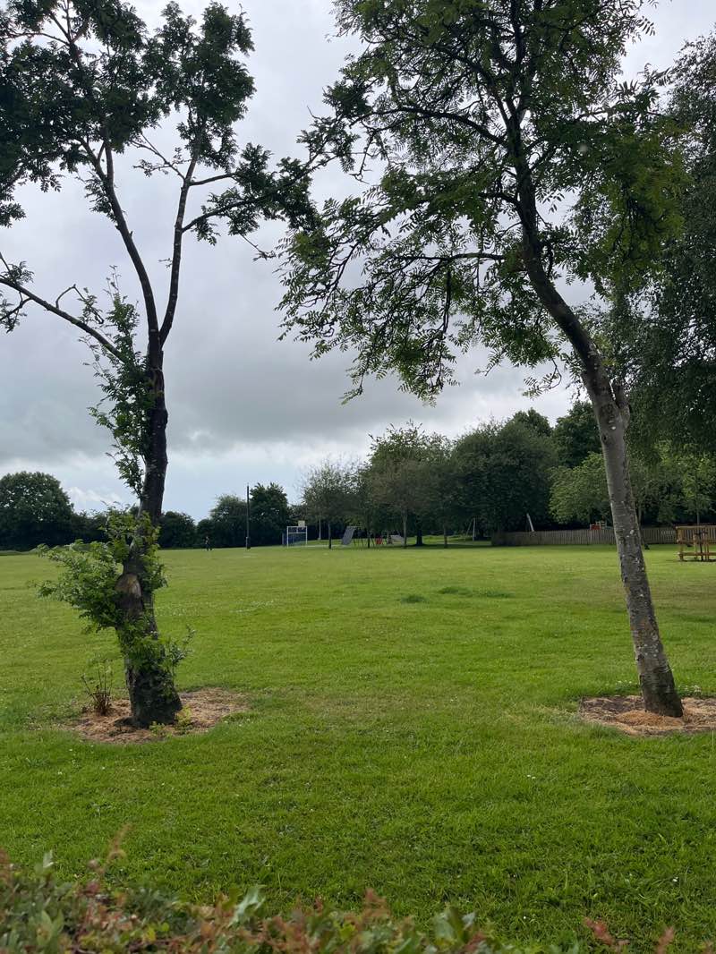 walking near me in Deville Park in summer