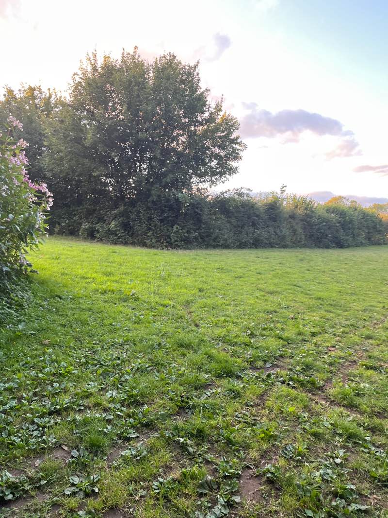 walking near me in Parc Coed-y-Nant in autumn