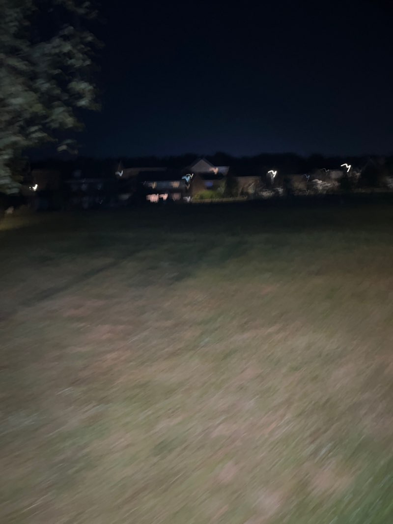 walking near me in Wyncliffe Gardens in autumn