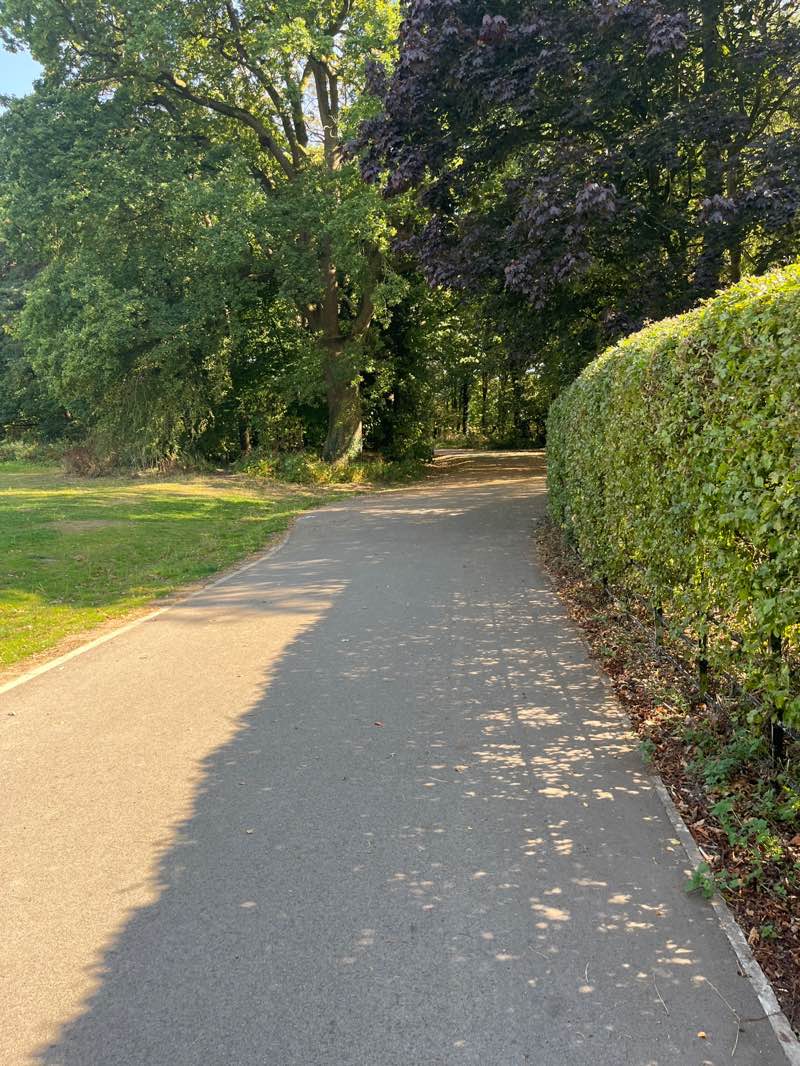 walking near me in Farm Yard Wood in autumn