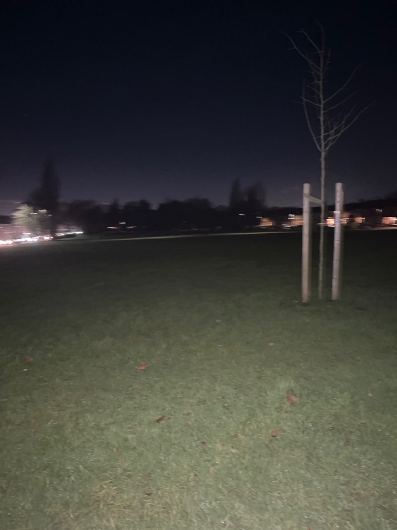 walking near me in Central Park in winter