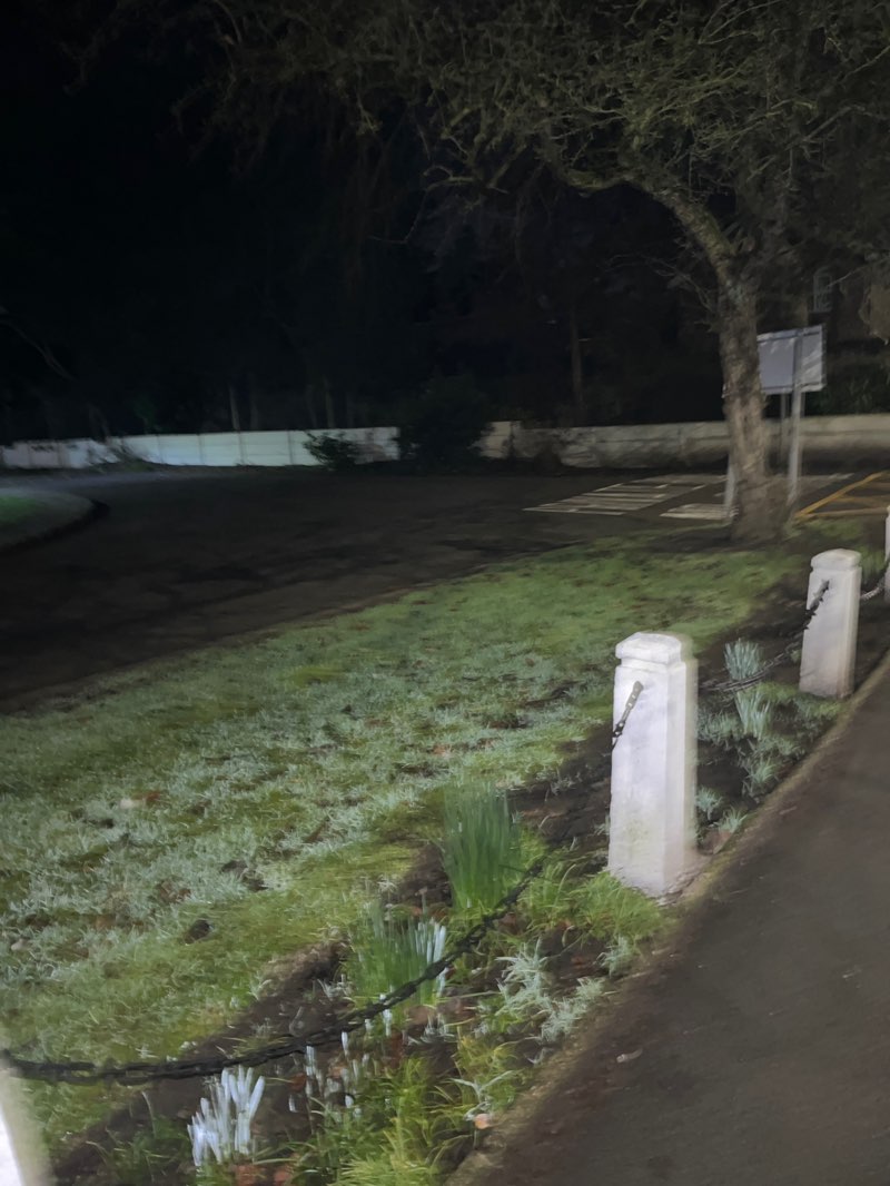 walking near me in Didsbury Park in winter