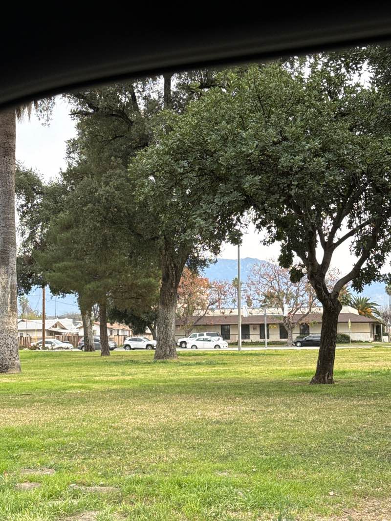 walking near me in Weston Park in winter