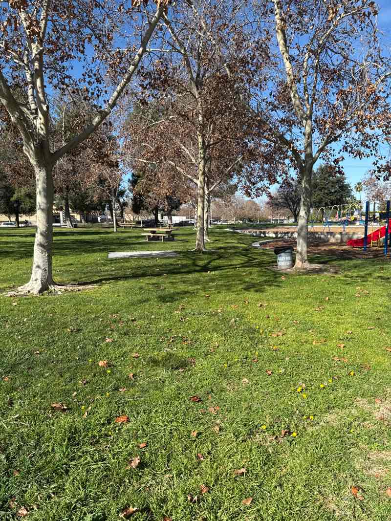 walking near me in Bill Gray Park in winter