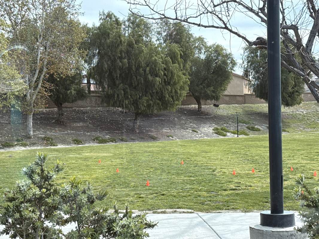 walking near me in Villines and Washington Park in spring