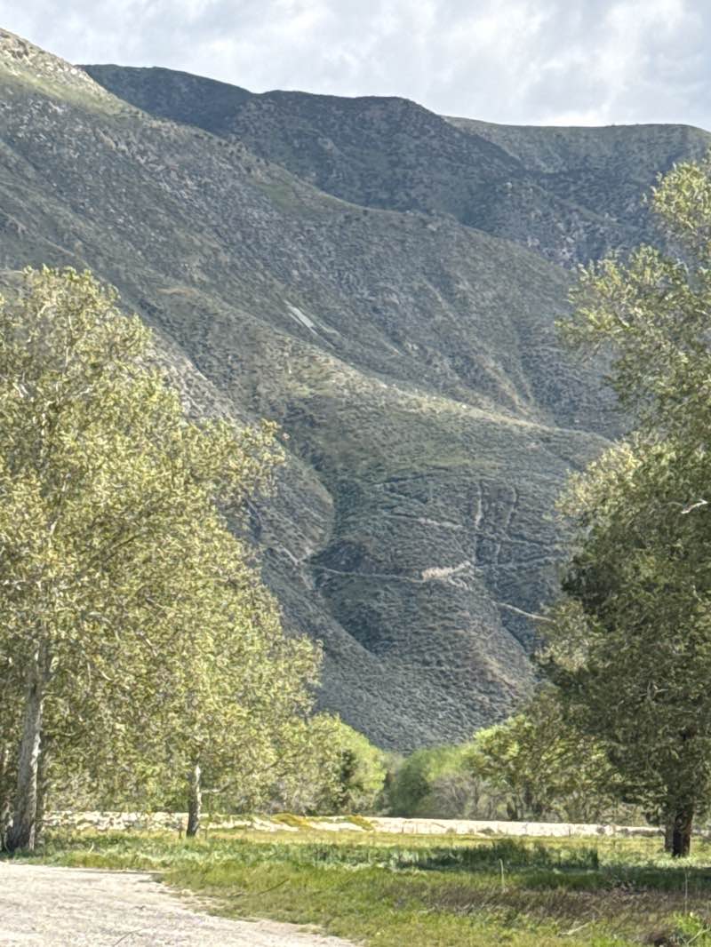 walking near me in San Jacinto River Park in spring